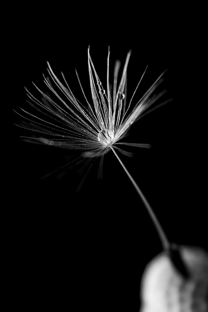 fine line botanical tattoo